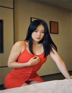 又见女王蜂